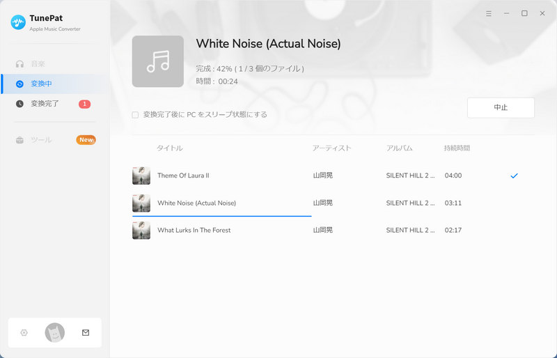 Apple Music を変換中