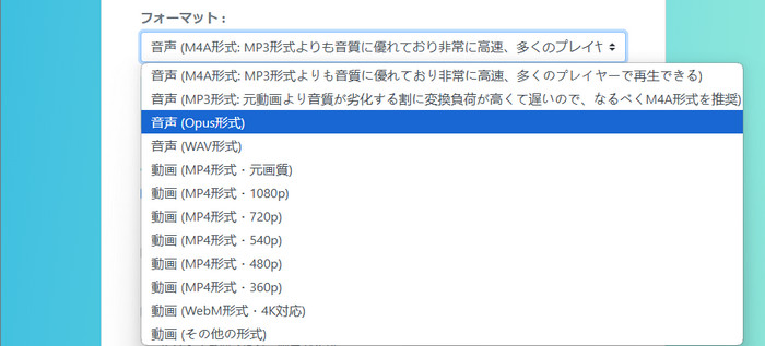 複数のフォーマットに対応