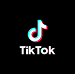 TikTok Video Downloader